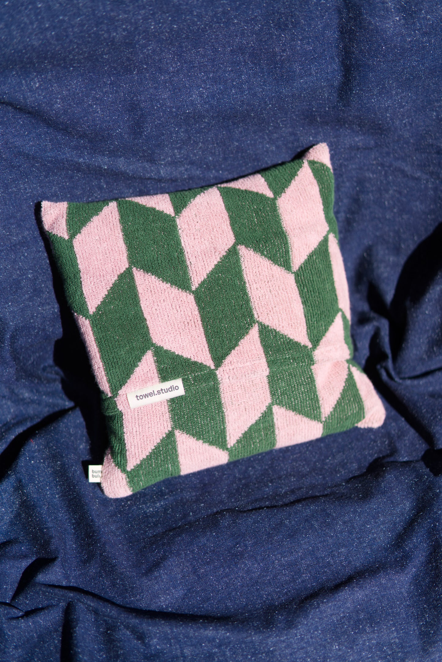 Arrow Tail Throw Pillow | Pink & Green